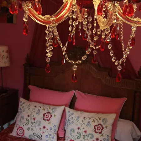 Bed & Breakfast Primerose Arcis-sur-Aube