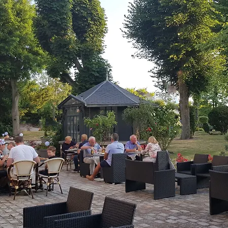 Primerose Arcis-sur-Aube