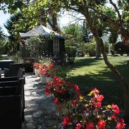 Primerose Arcis-sur-Aube