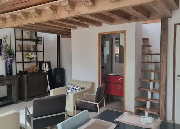 Primerose Arcis-sur-Aube