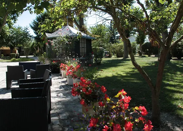 Primerose Arcis-sur-Aube